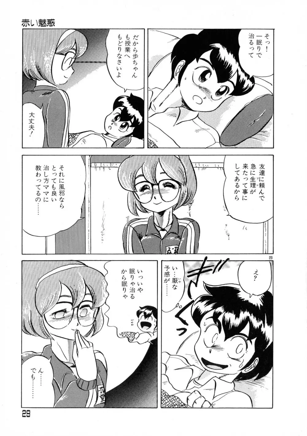 赤い魅惑 Page.29