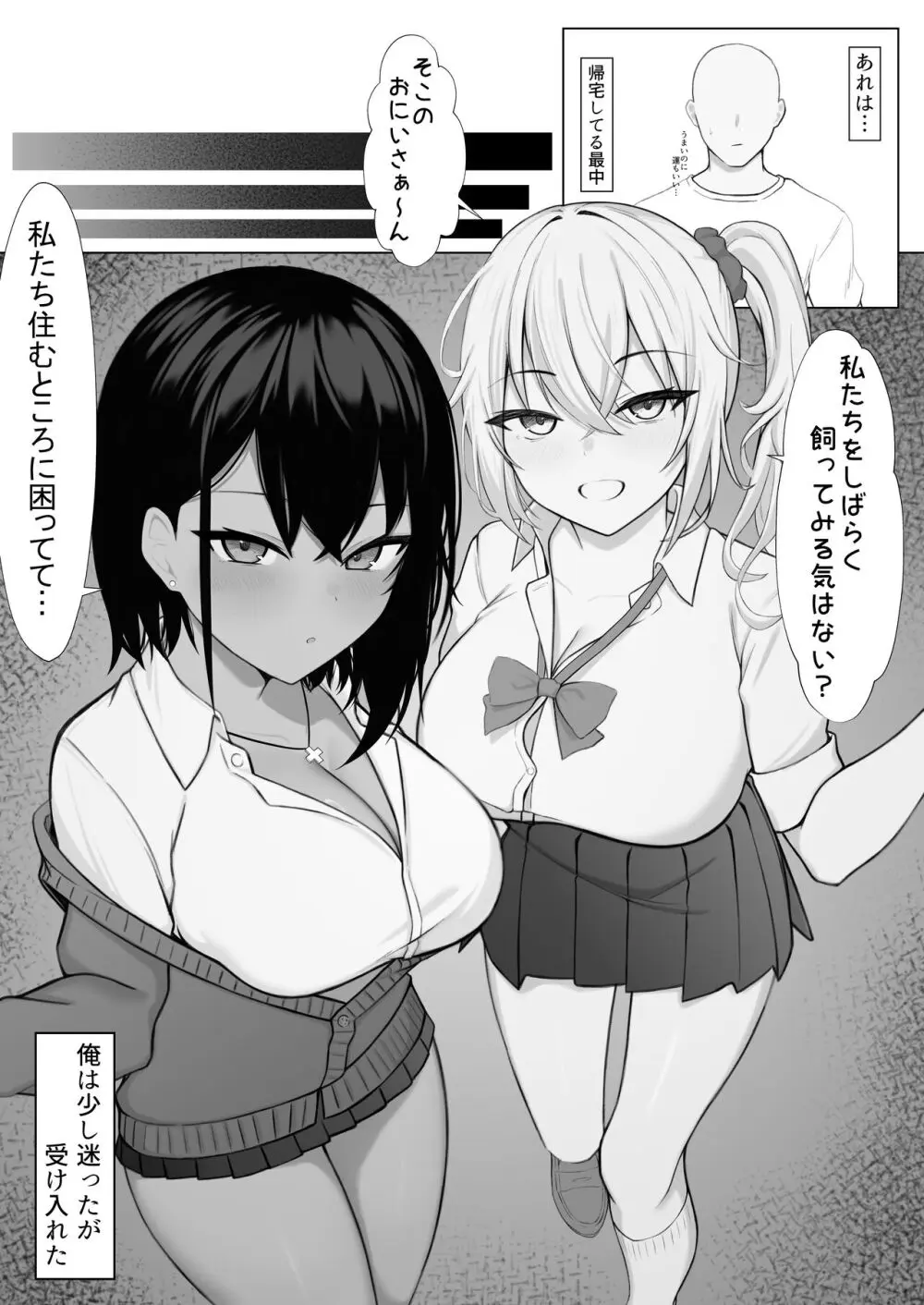 ギャルとの共同性活〜ギャル飼ってみませんか？〜 Page.3