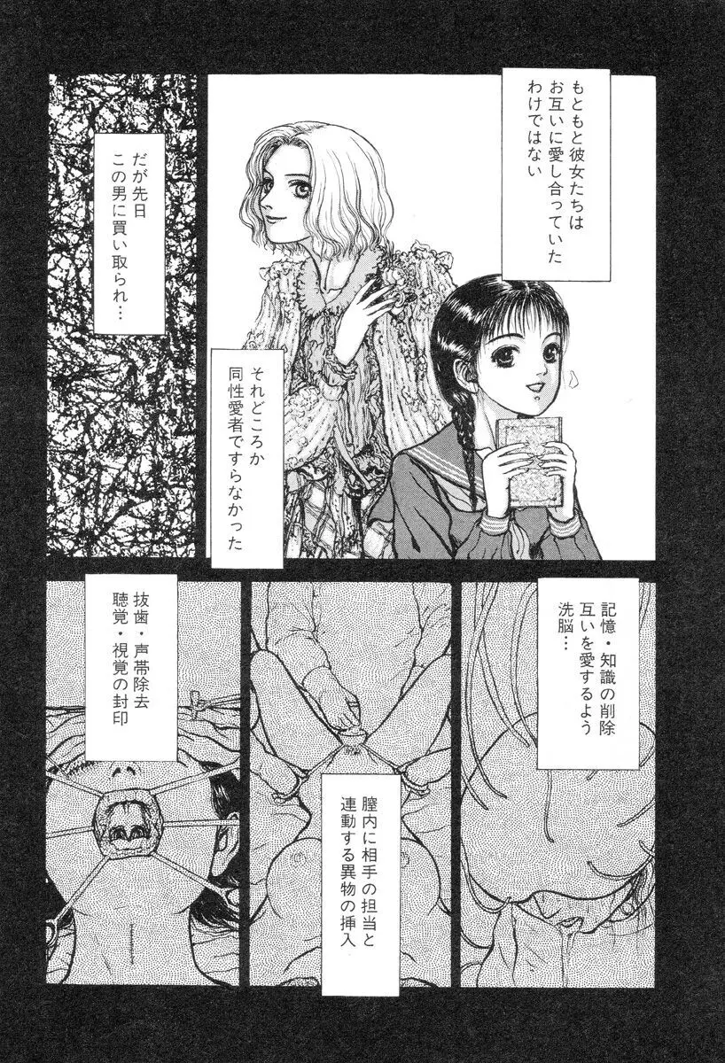 バージェスの乙女たち ワイワクシアの章 Page.84