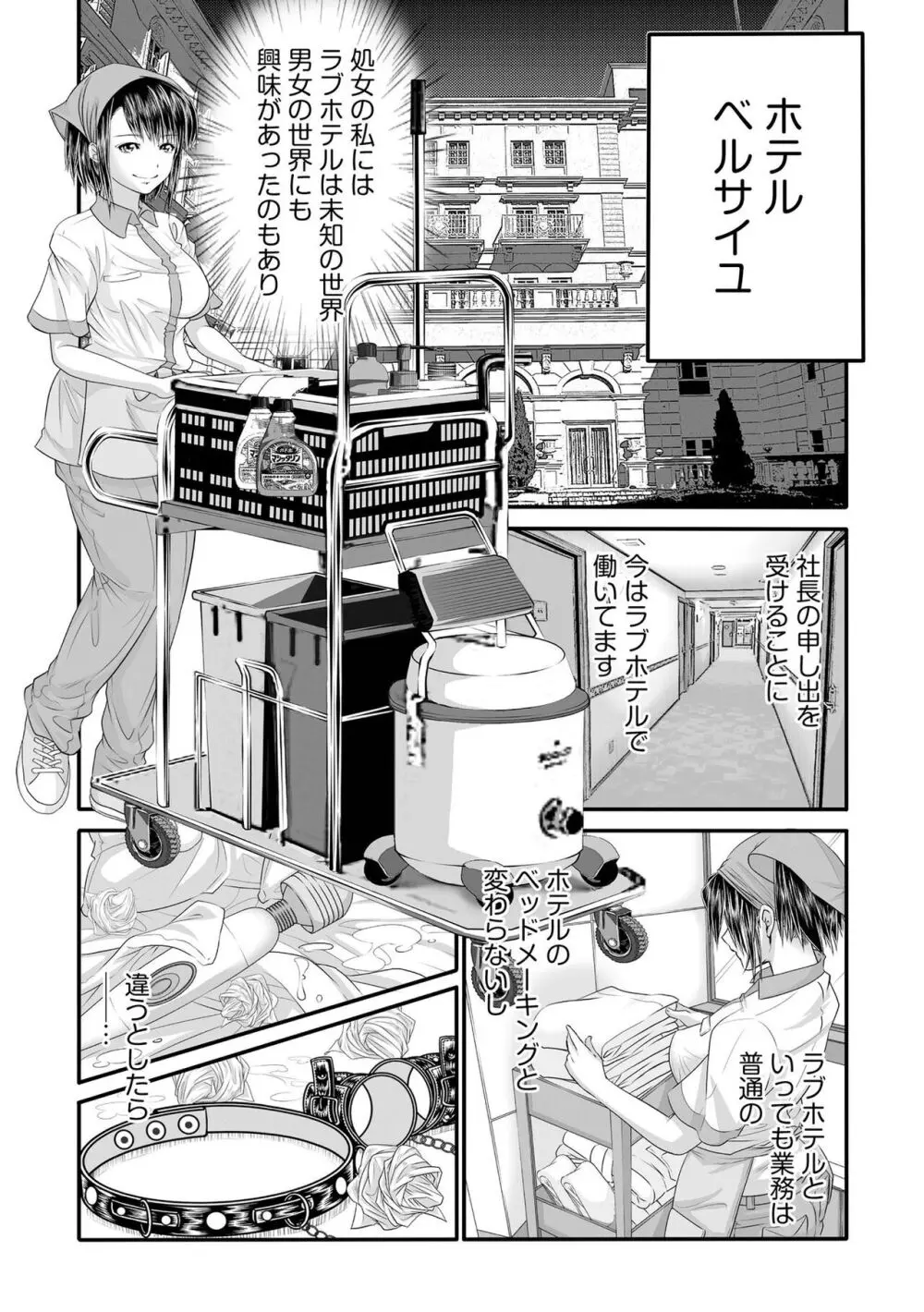 ラブホ清掃員をしていた私がAVデビューをした理由 第01巻 Page.12