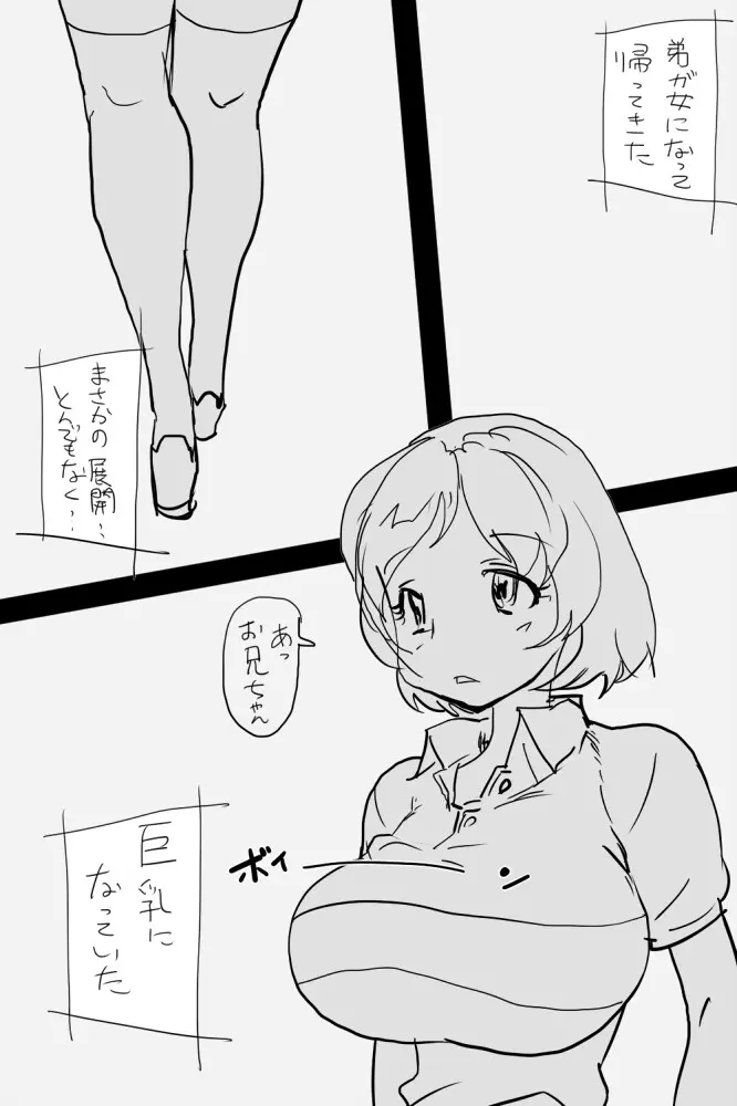 ONK : 女体になった巨乳の弟を犯しちゃうお話し。 Page.2