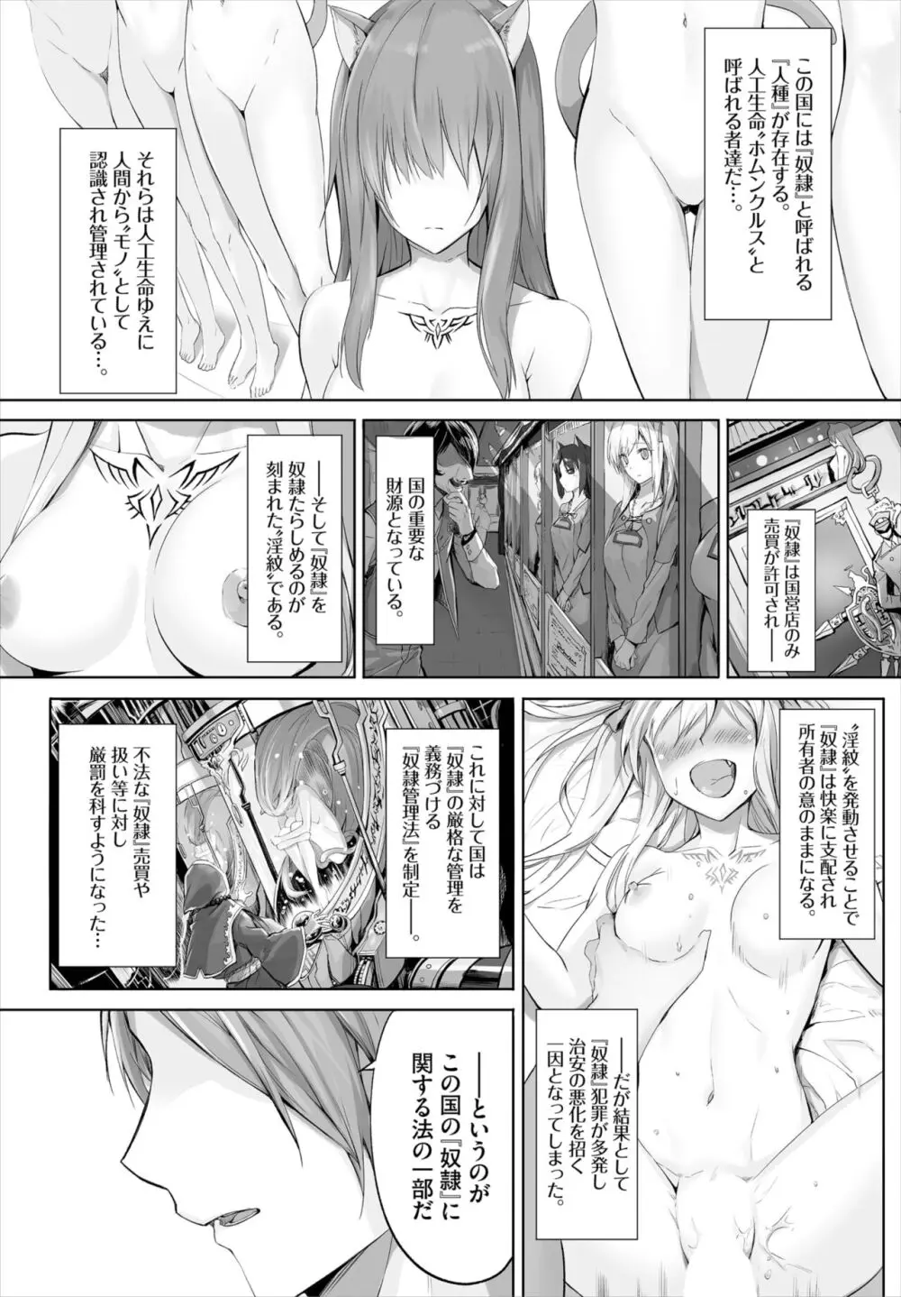 愚か者は猫耳奴隷に依存する~初めての調教生活~ 01-25 Page.2
