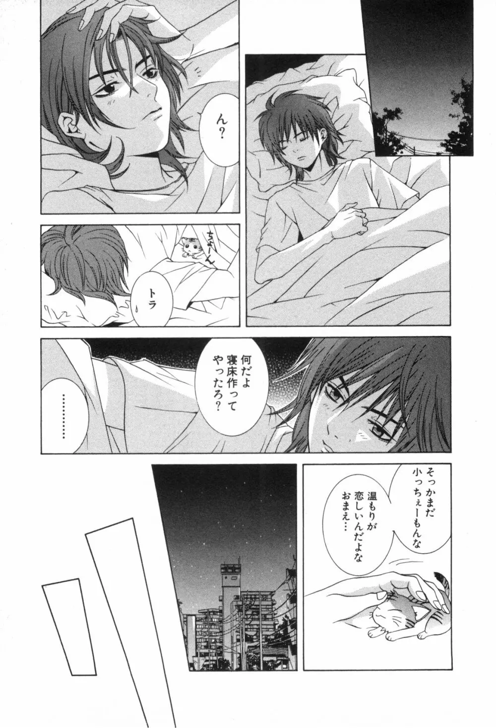 ねこかん Page.14