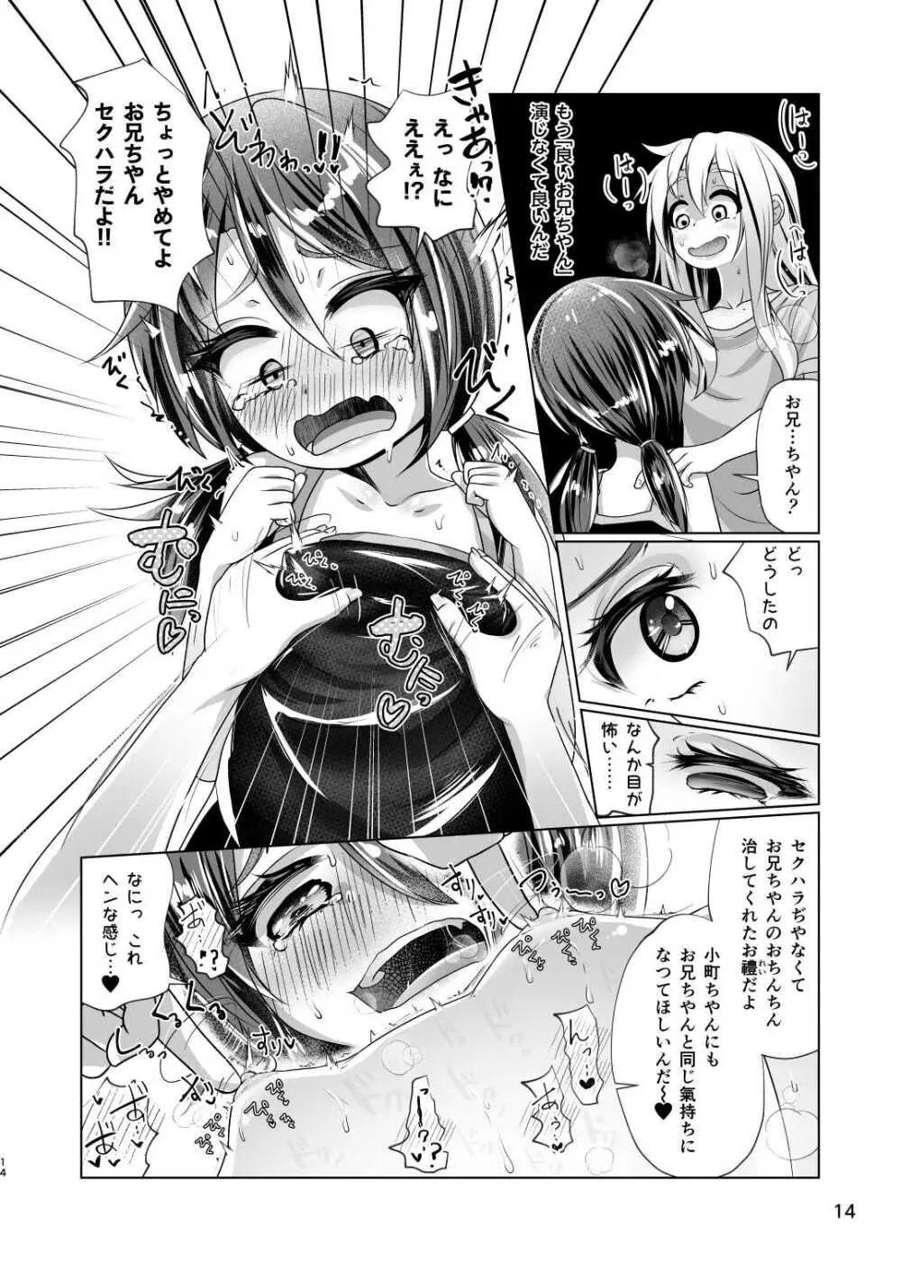 イトコのヒメゴト ――エッチしたい男の娘と エッチを知らない女の子の 初めてのエッチ―― Page.14