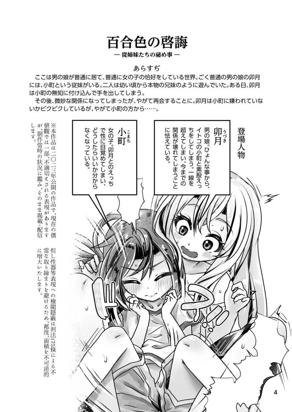 イトコのヒメゴト 2 ――エッチしたい男の娘と エッチを知らない女の子の 初めてのエッチ―― Page.4