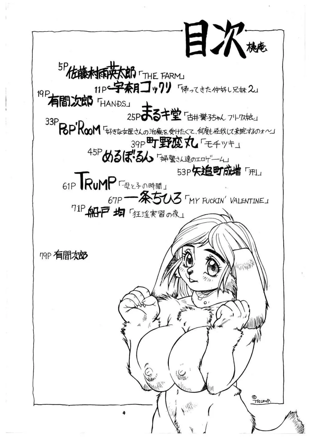 桃庵 vol.3 Page.4