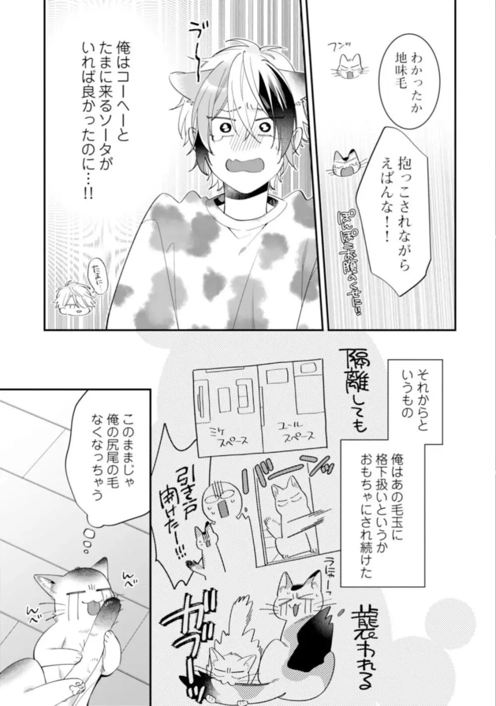 ハイスペ男子になつかれています Page.117