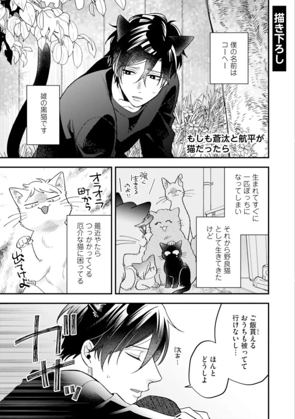 ハイスペ男子になつかれています Page.203