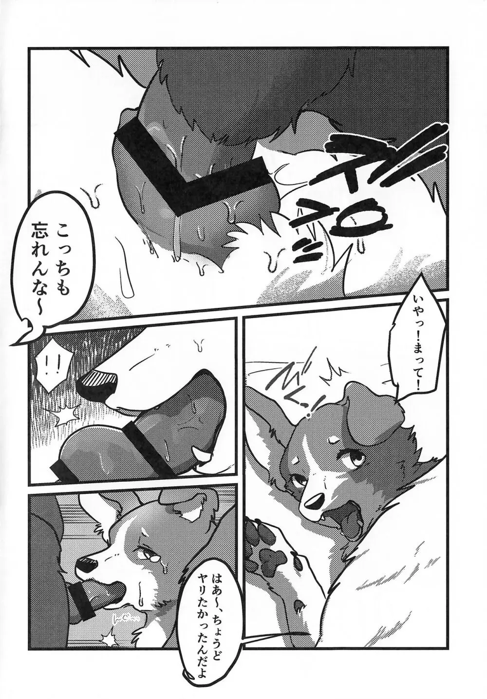 DOG.IN.CAGE コーンじゅういちばい Page.5