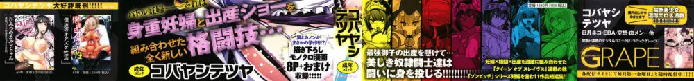 [コバヤシテツヤ] バトル妊婦 ～100万人の●●闘士(スレイヴス)～ Page.3