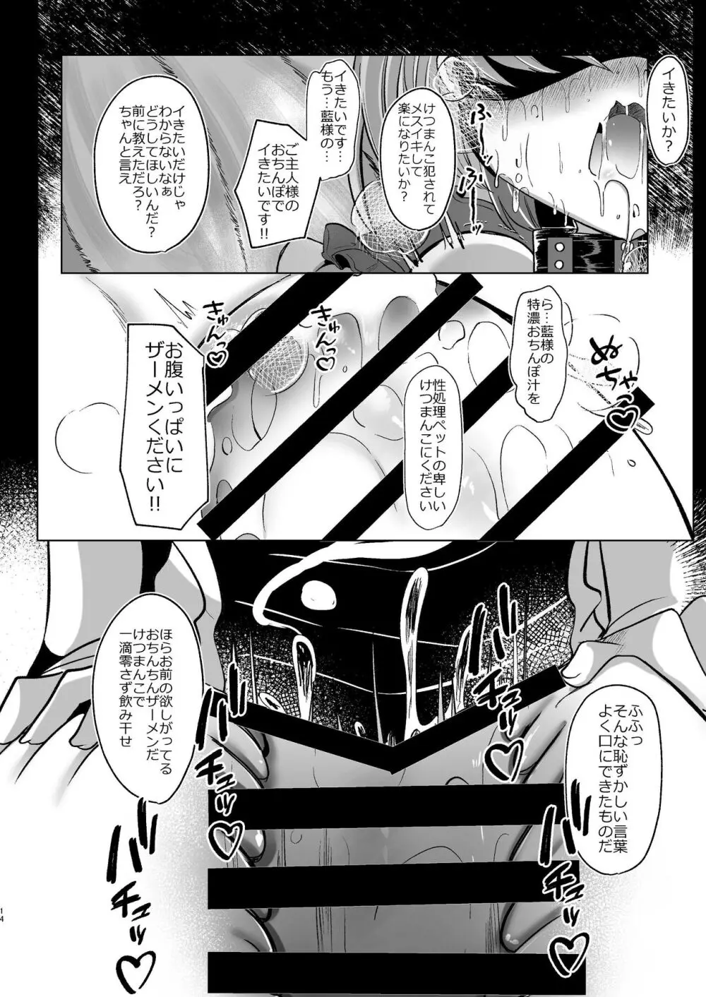 八雲藍が性処理ペットと戯れる本 Page.14