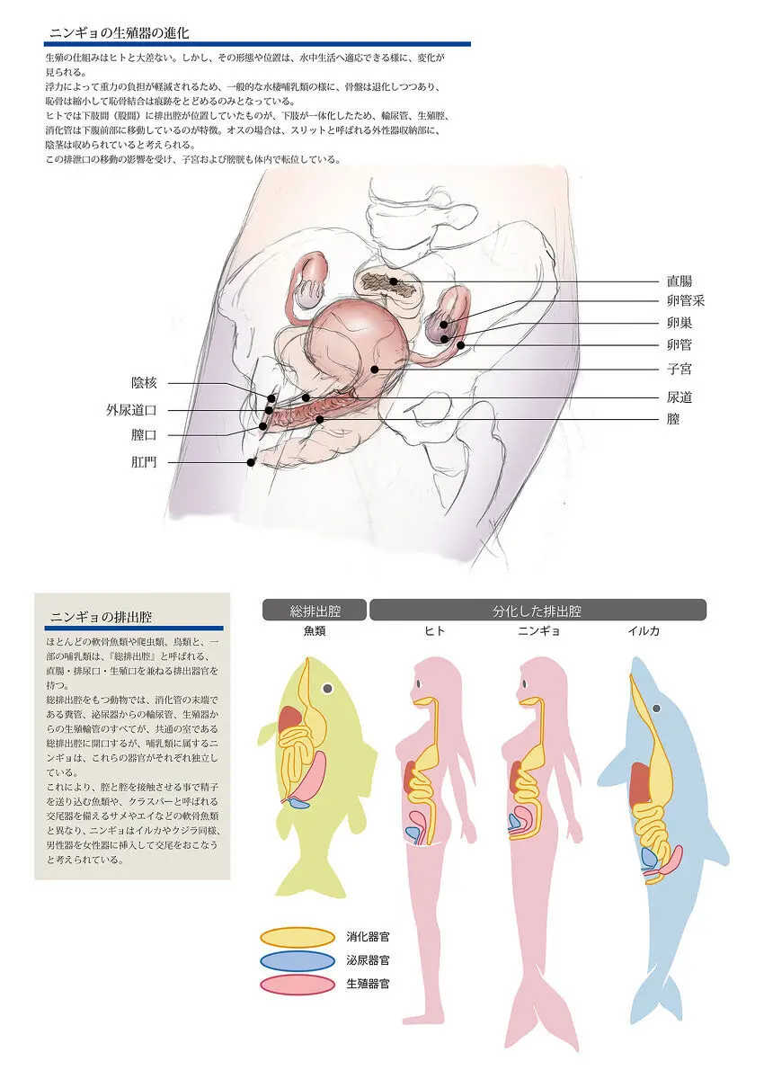 ビッチマーメイド 01-28 Page.30