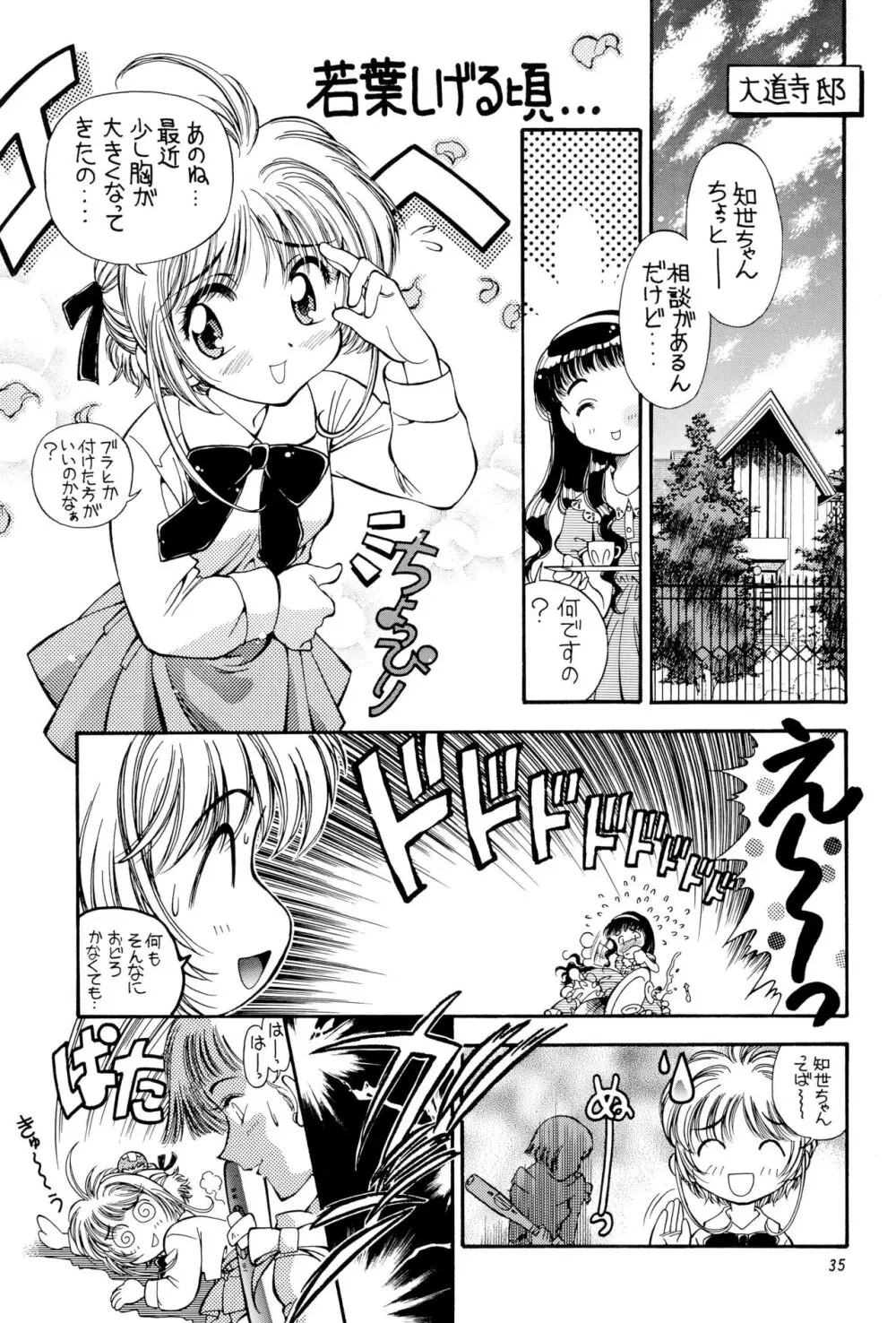 SAKURA前線縦断中! 総集編 Page.35