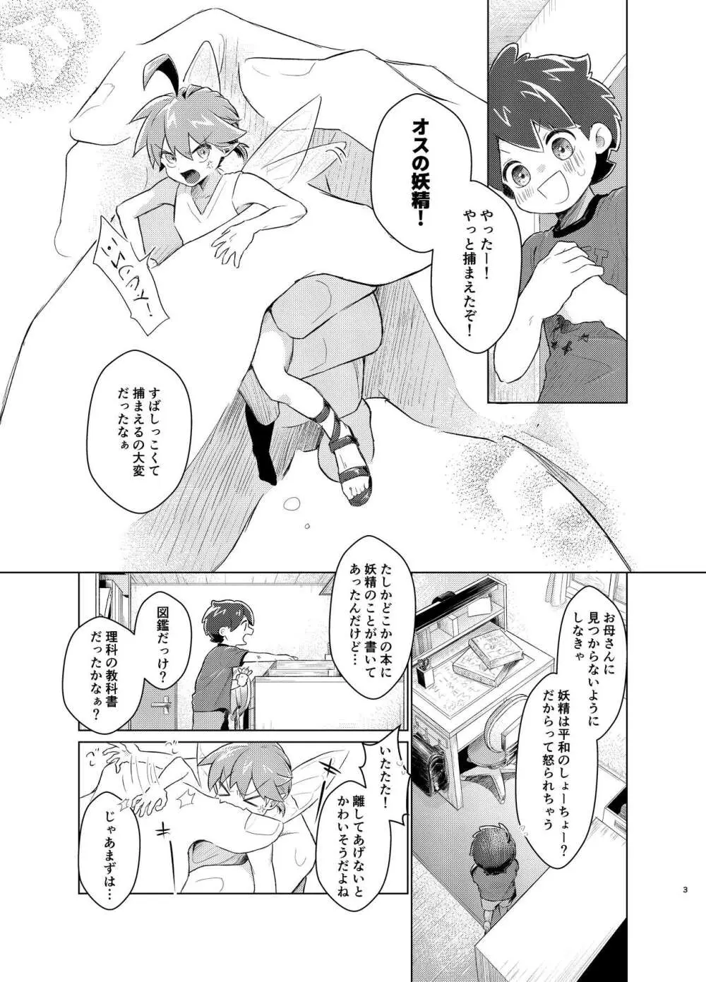 蟲と妖精の観察日記 Page.2