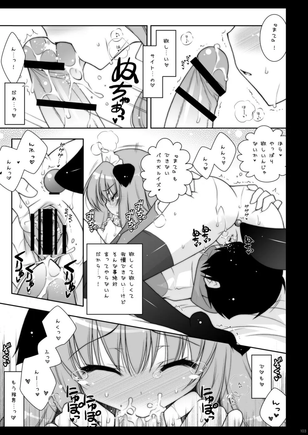 ゼロの使い魔 総集編 Page.103