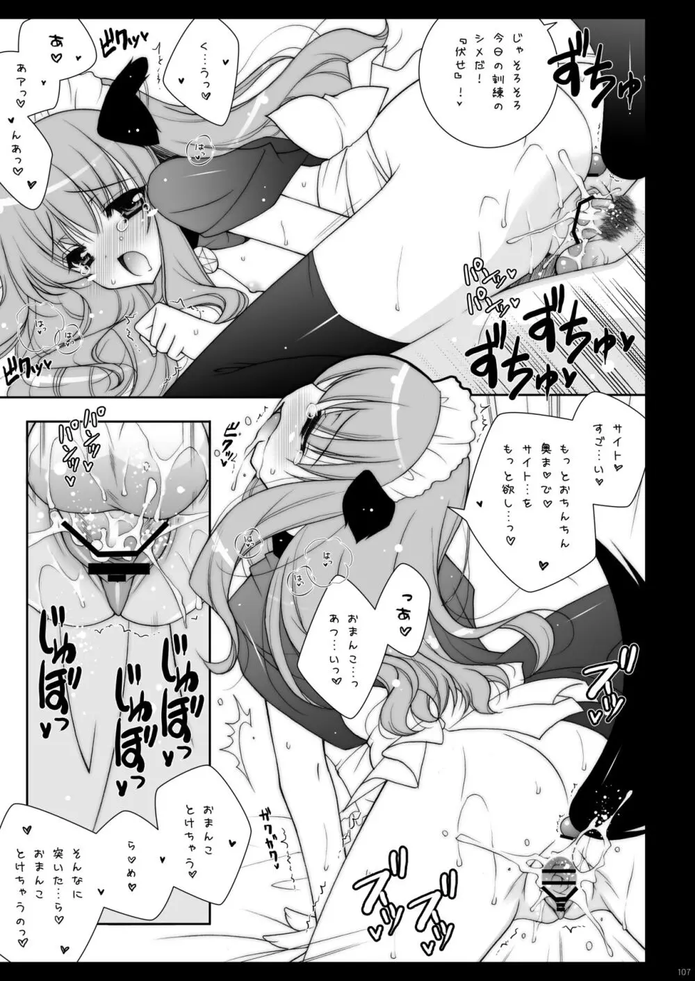 ゼロの使い魔 総集編 Page.107