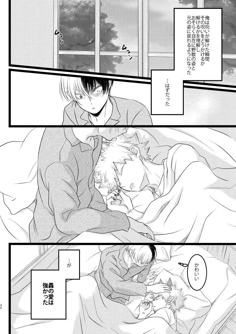 イケメンと野獣 Page.44