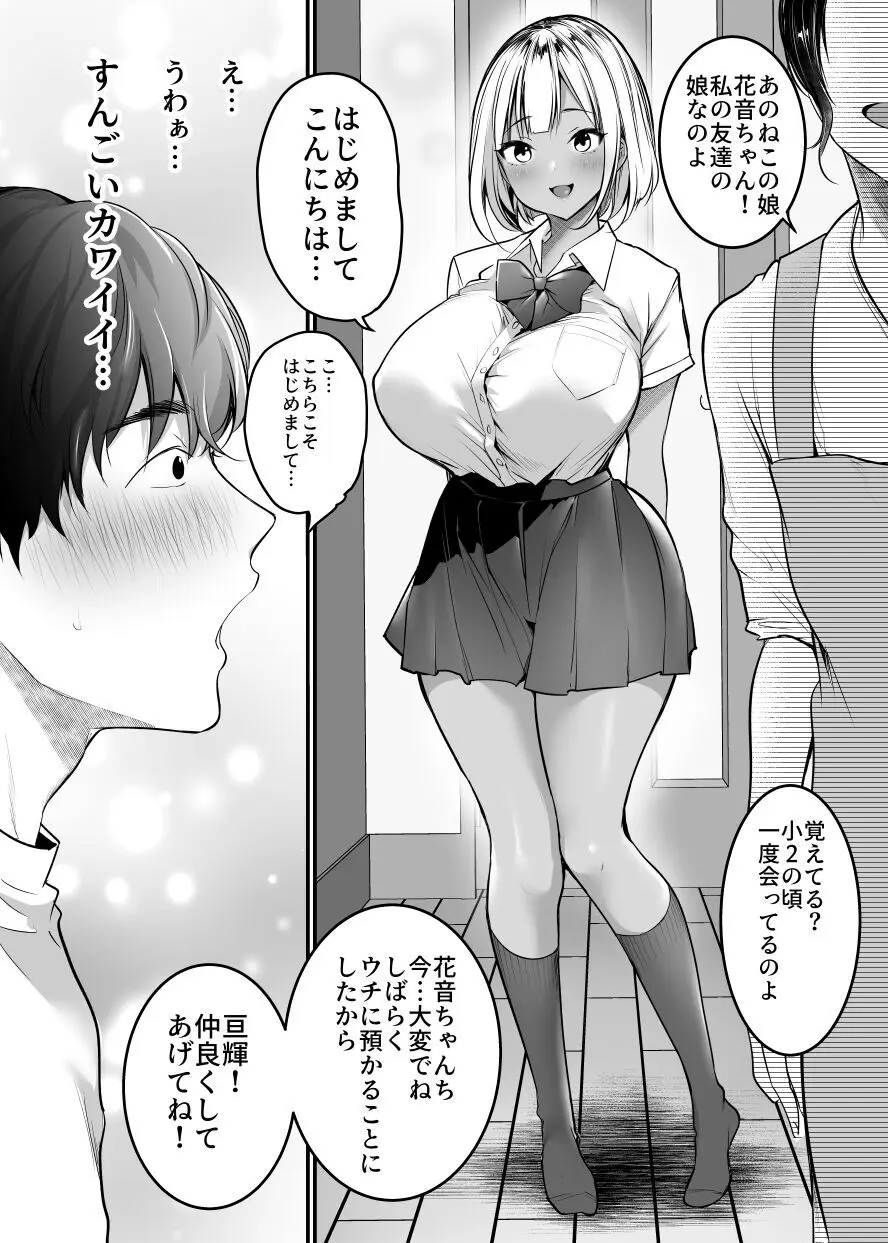 セックスクローゼット〜居候ギャルと我が家のトイレで〜 Page.4