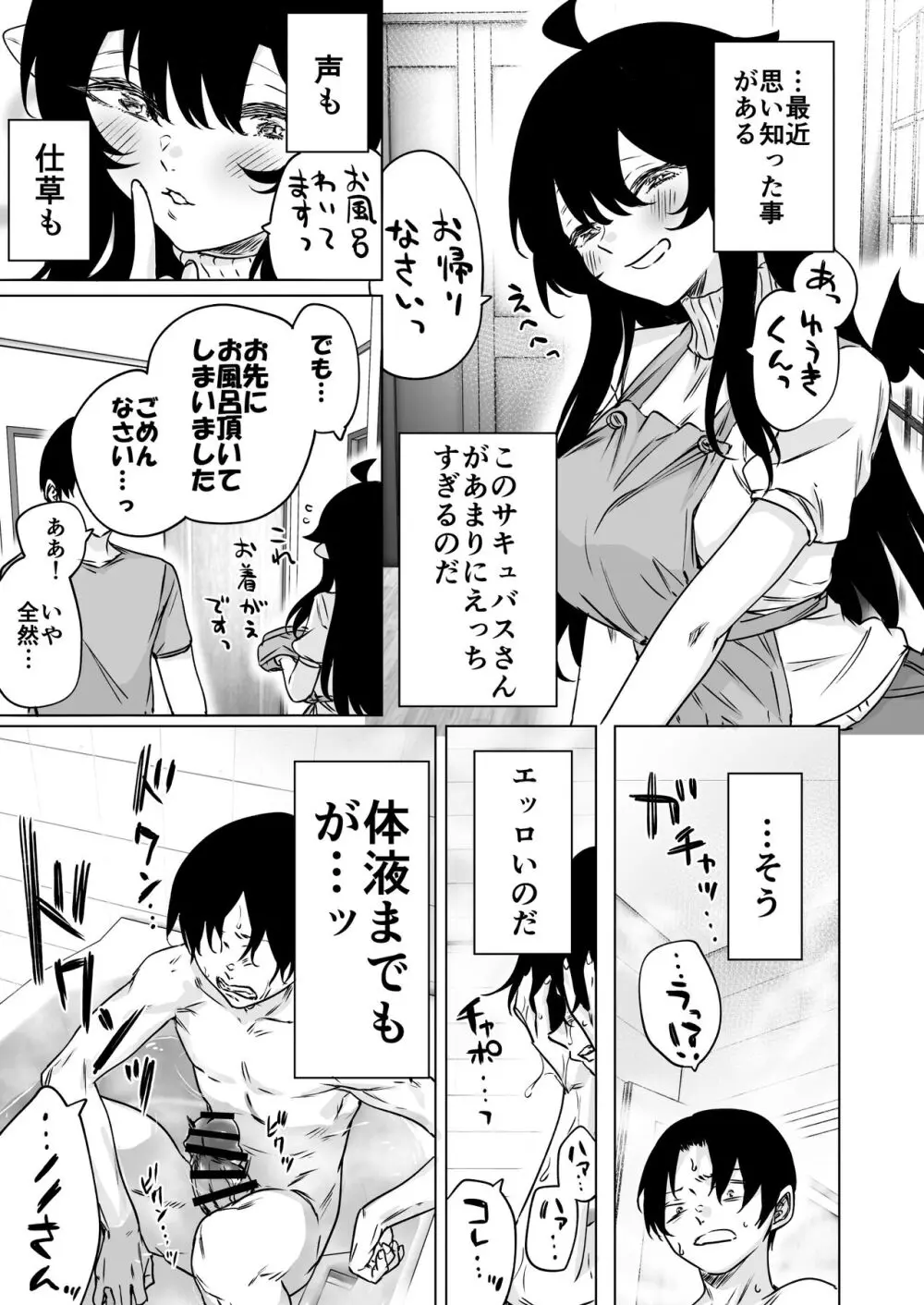 就活失敗したサキュバスさんを拾いました2 -上巻- Page.11