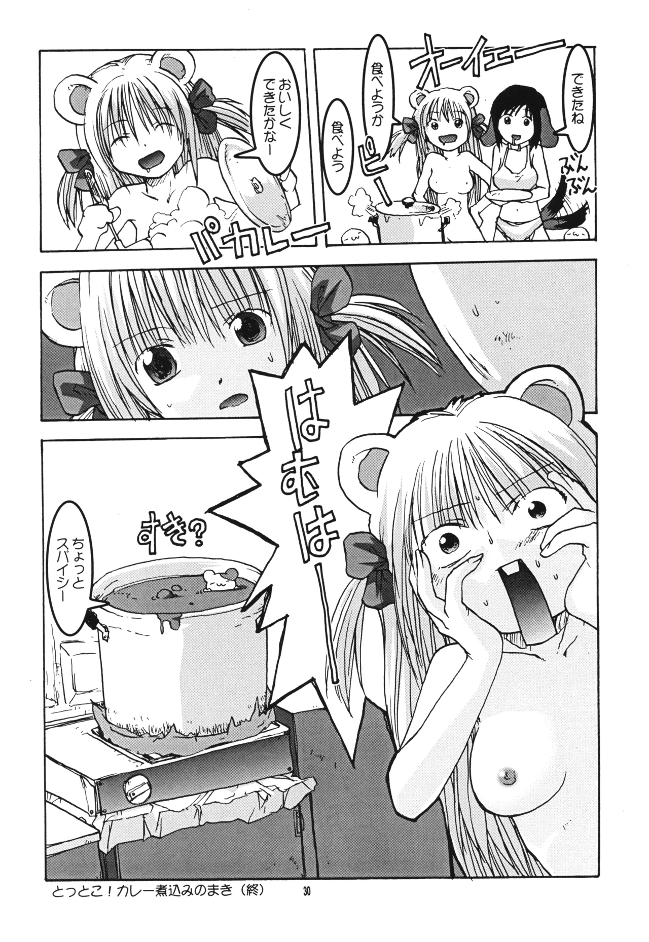 けものけ通信 11 ロコちゃんFANBOOK Page.29