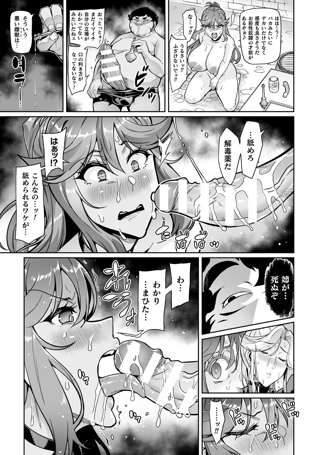 戦姫調教 ヴァルキリーテイマー Page.11