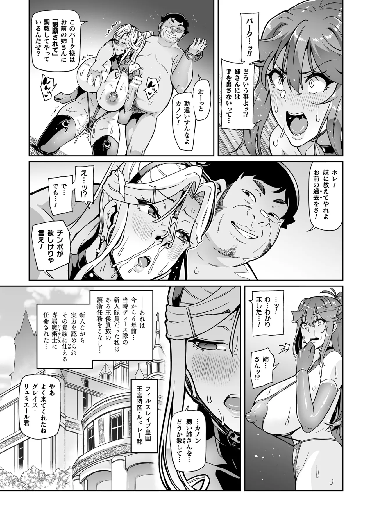 戦姫調教 ヴァルキリーテイマー Page.33