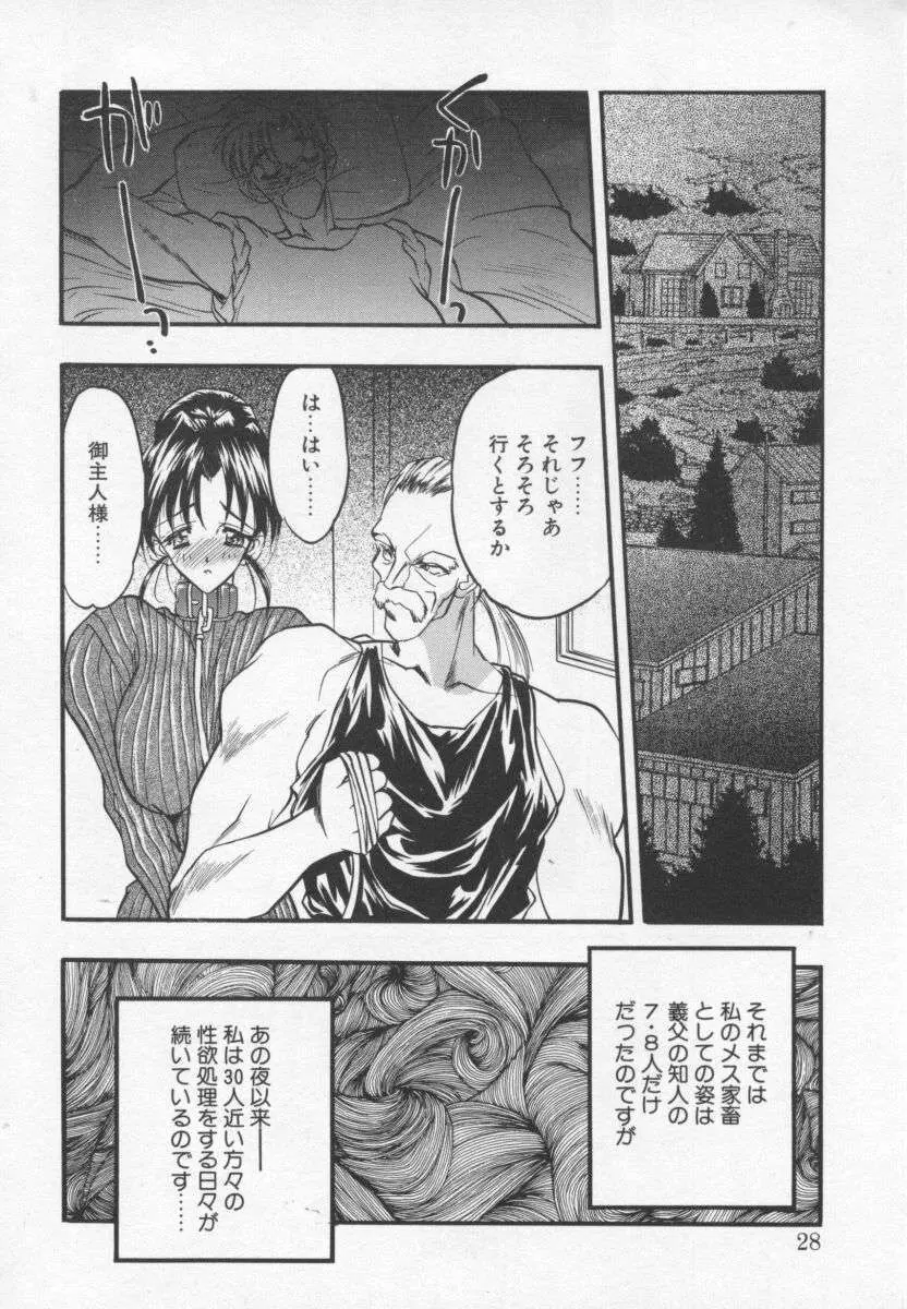 女神の降る里 Page.27