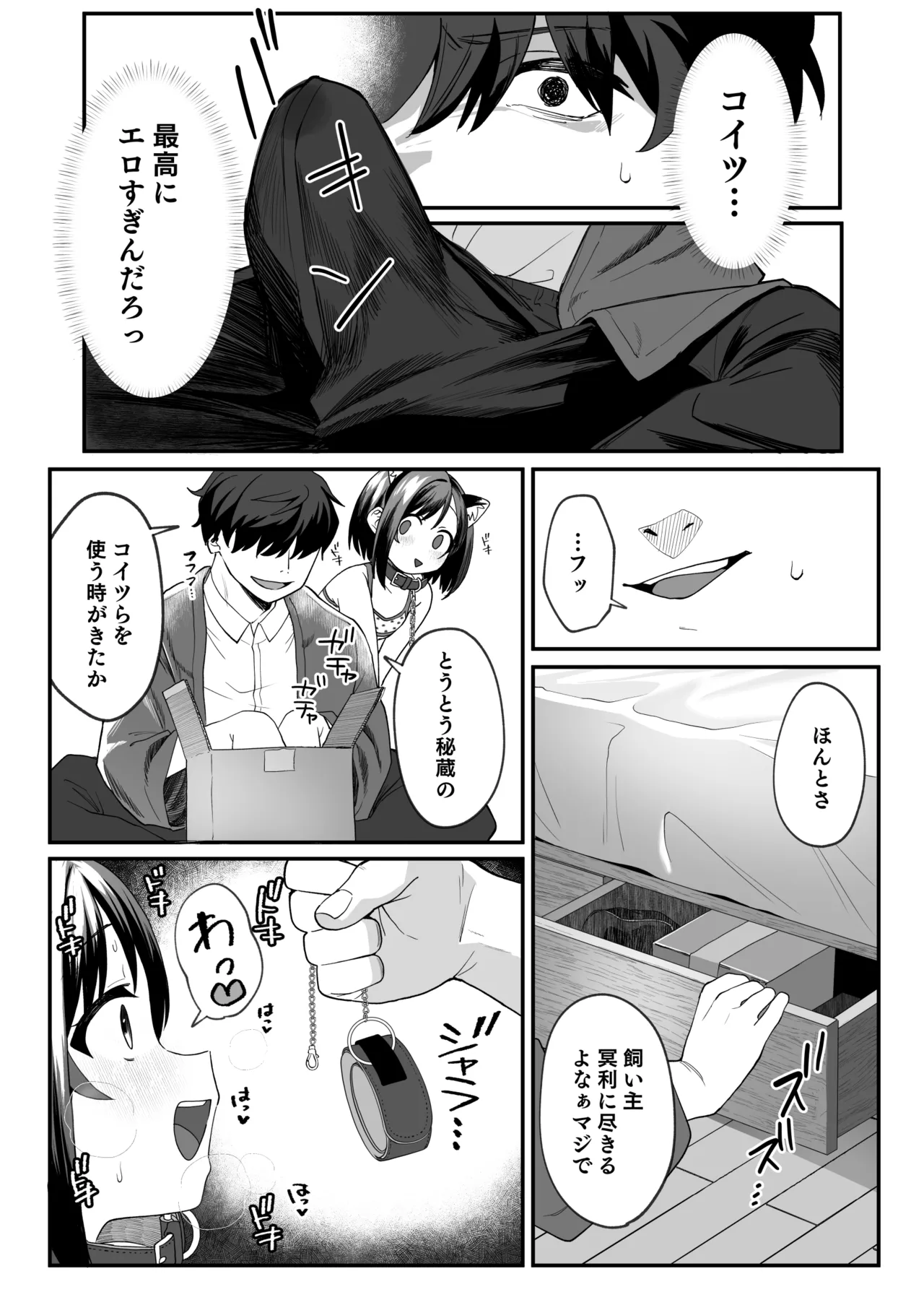 お隣の娘さんは俺に気があるようだからペットにしてみた。2 Page.11