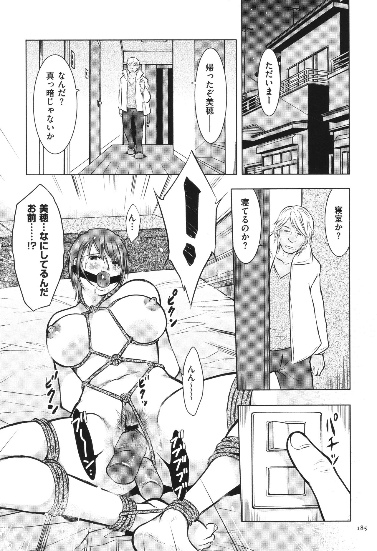 母子相姦日記 母さん、一度だけだから…。 Page.186