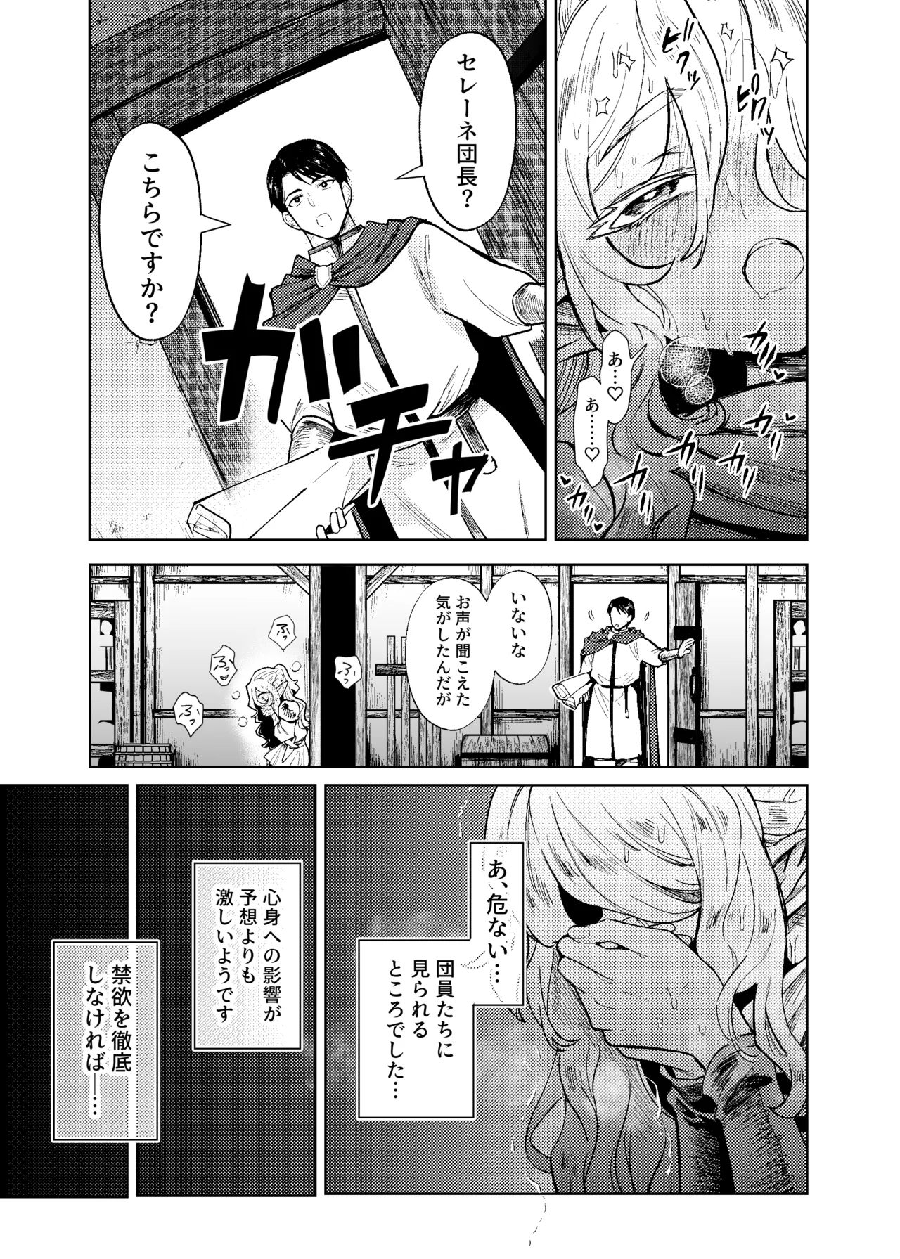 聖騎士団長様は婬術の治療のために娼館へ行きました Page.14