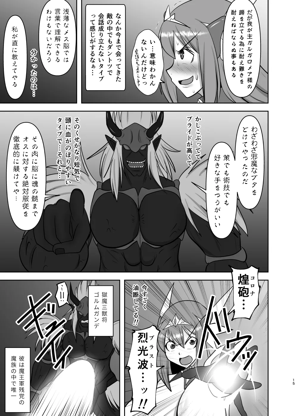 煌盾戦姫エルセイン 弱肉敗辱 Page.14