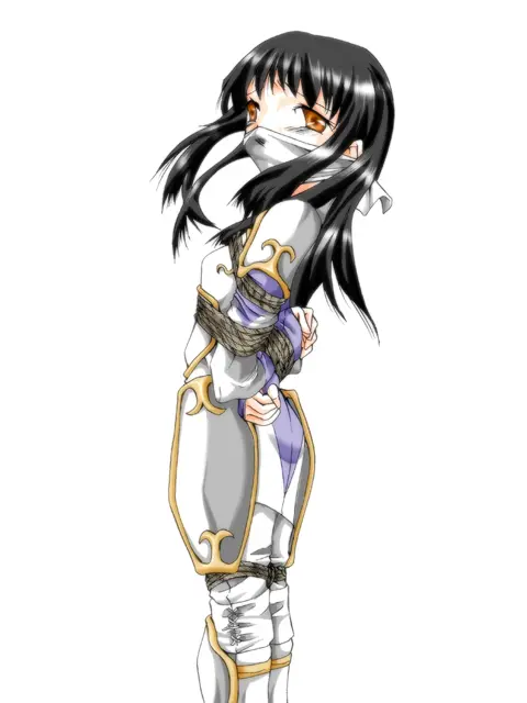 ファンタジーにおける闘う美少女DIDの考察~蒼○の軌跡編~ Page.25