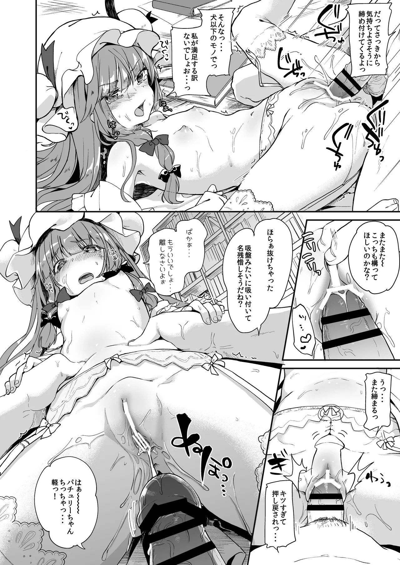 からくちパチュリーさま +おまけ本 Page.13