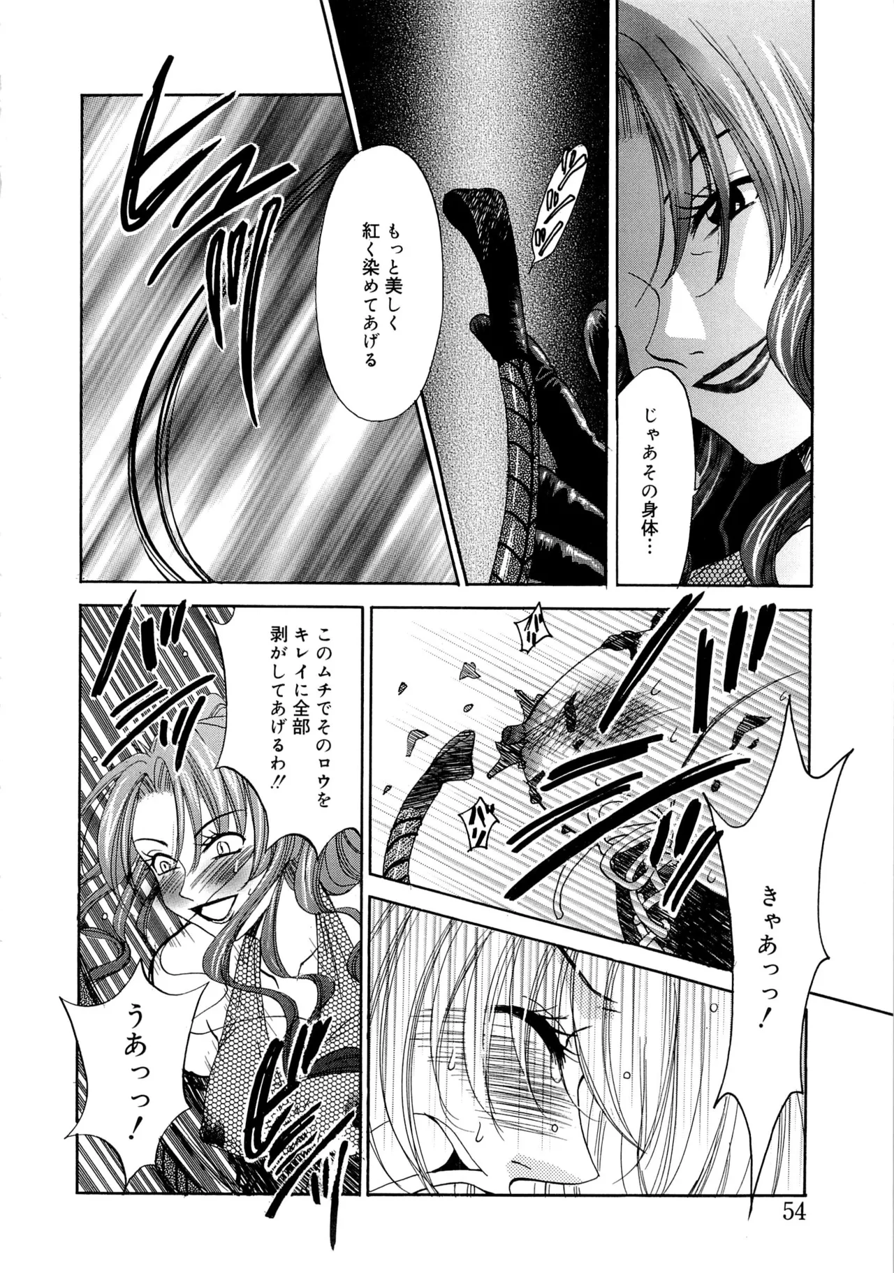 21時の女~ニュース・キャスター桂木美紀~2 Page.53