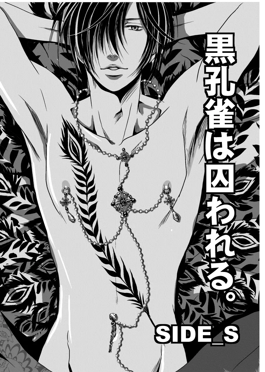 黒孔雀は囚われる。 SIDE-S Page.6