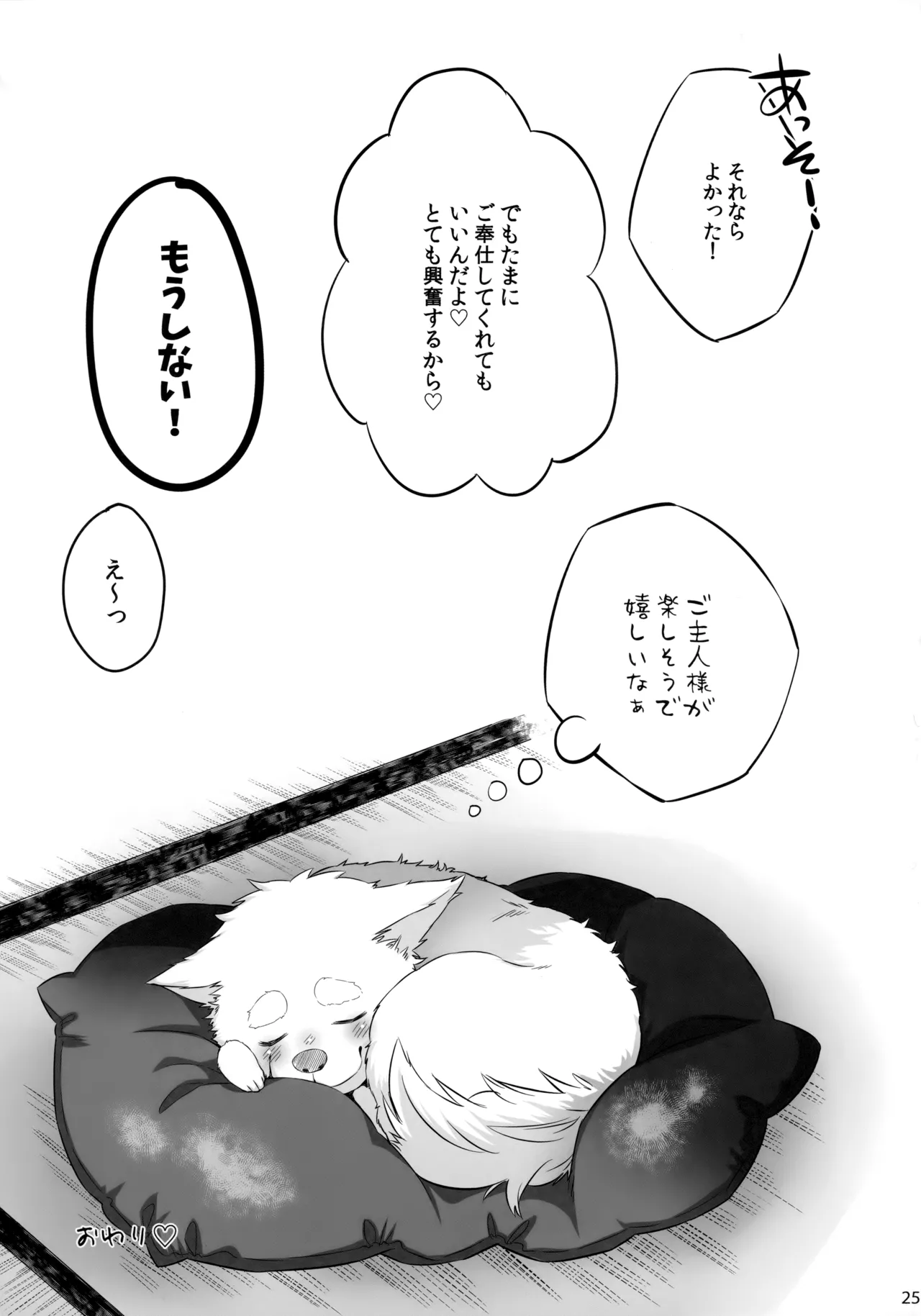 DOKIDOKIGOHOSHI!!! Page.24