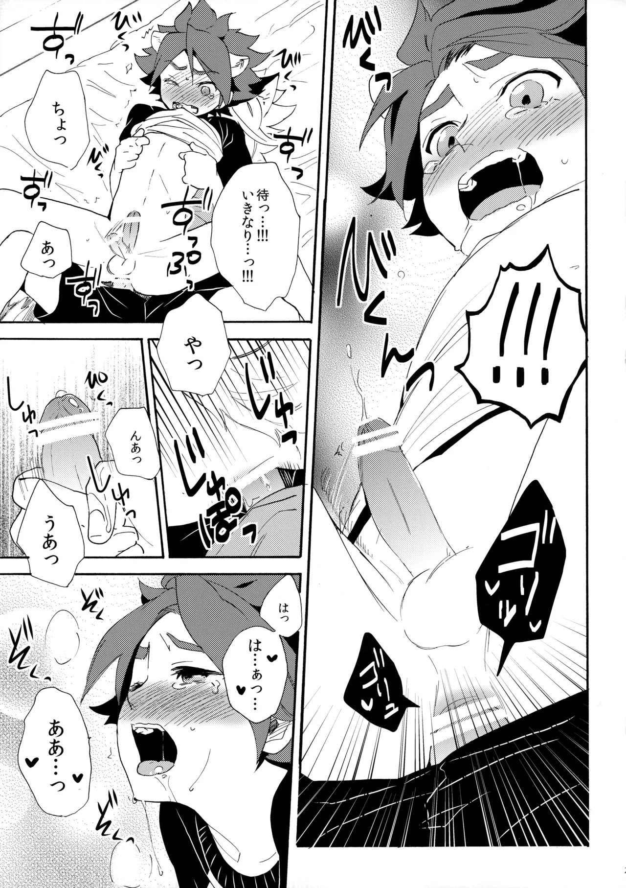 ワンにゃんカオス Page.24