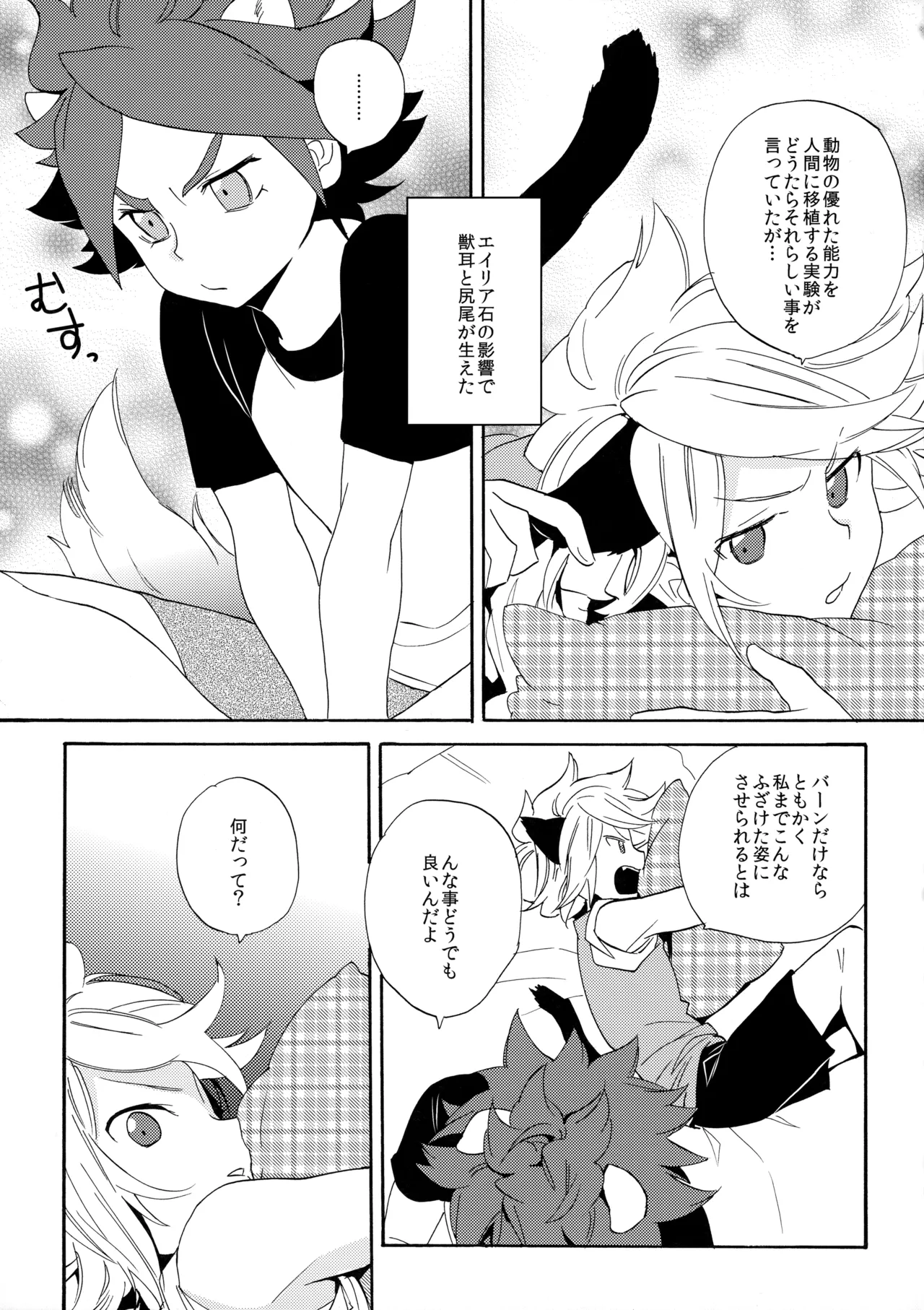 ワンにゃんカオス Page.4