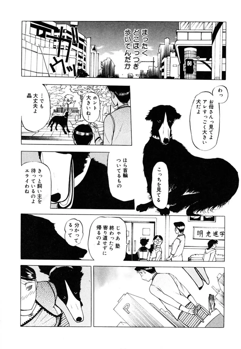 人妻とぼく。 Page.84