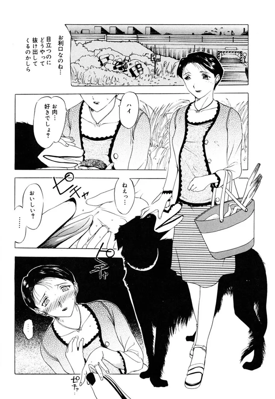 人妻とぼく。 Page.85