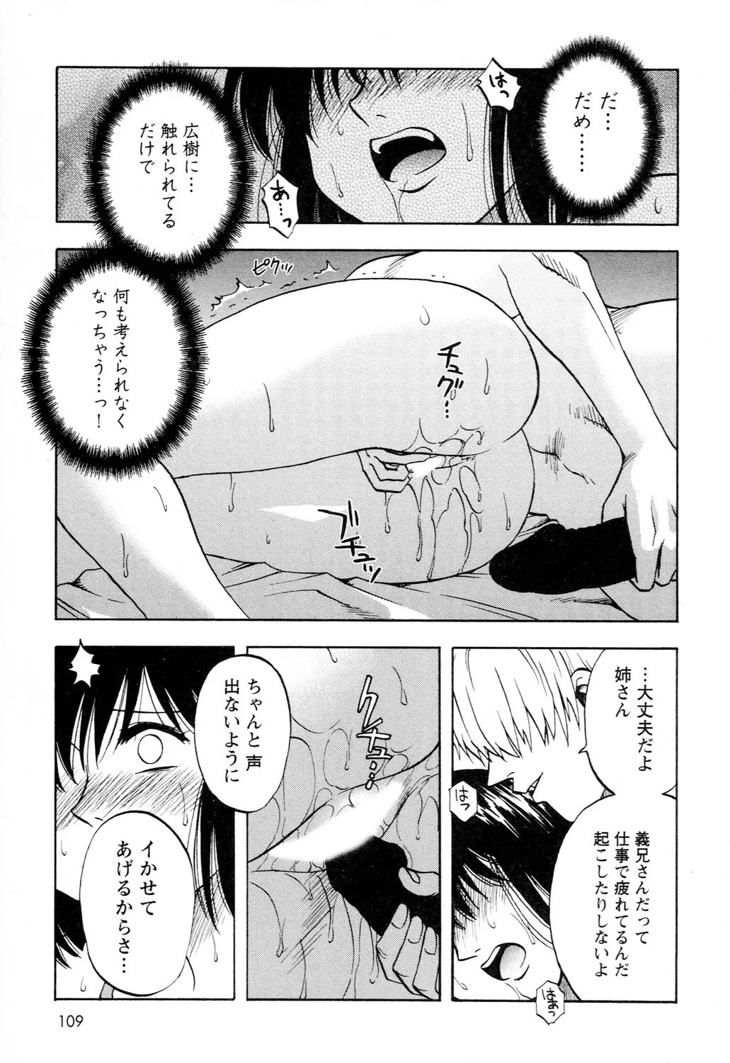 アネモエ Page.111