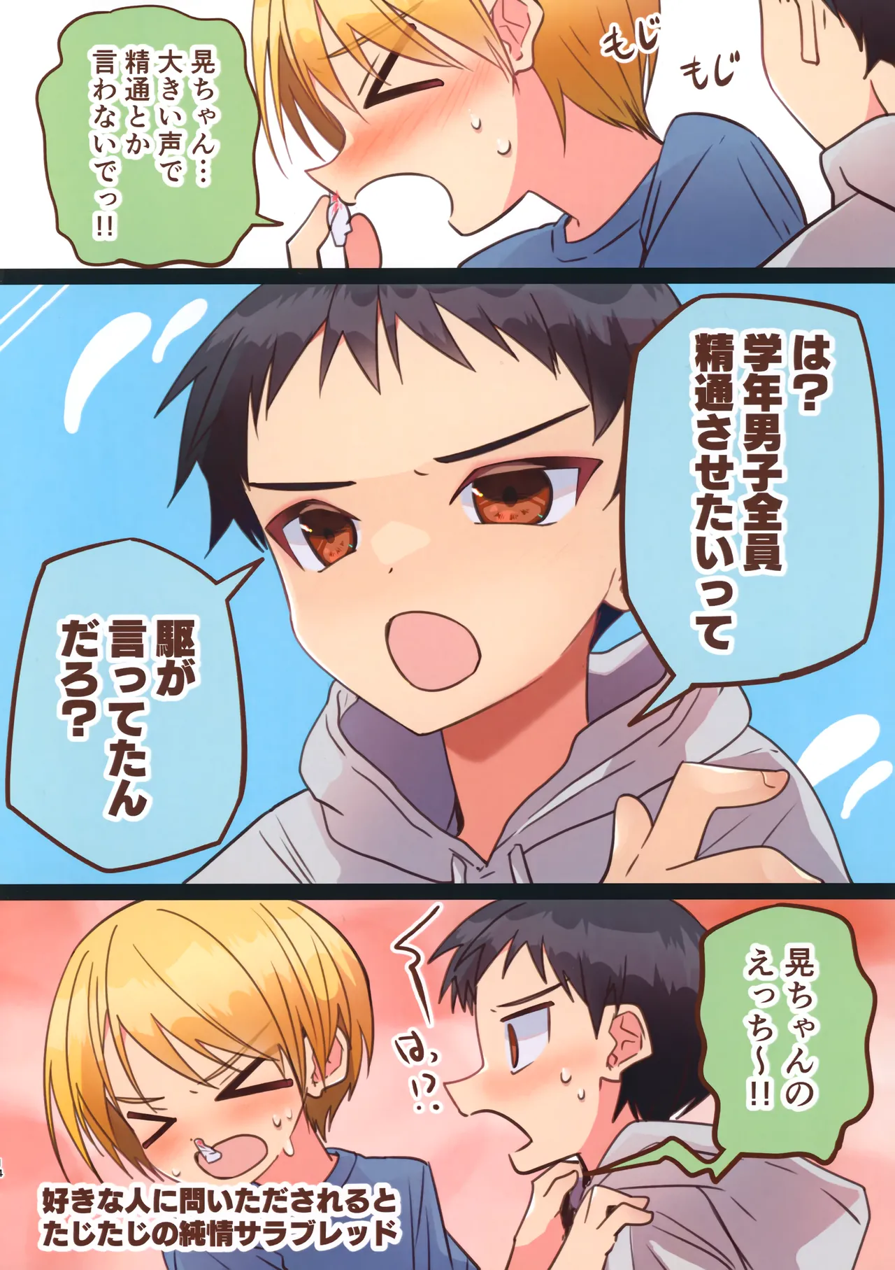 純サラカラー漫画 Page.14