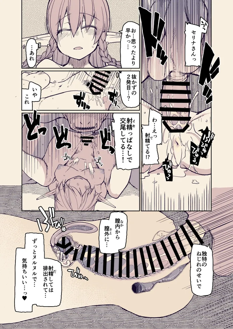 ドスケベエルフの異種姦日記 13 Page.12