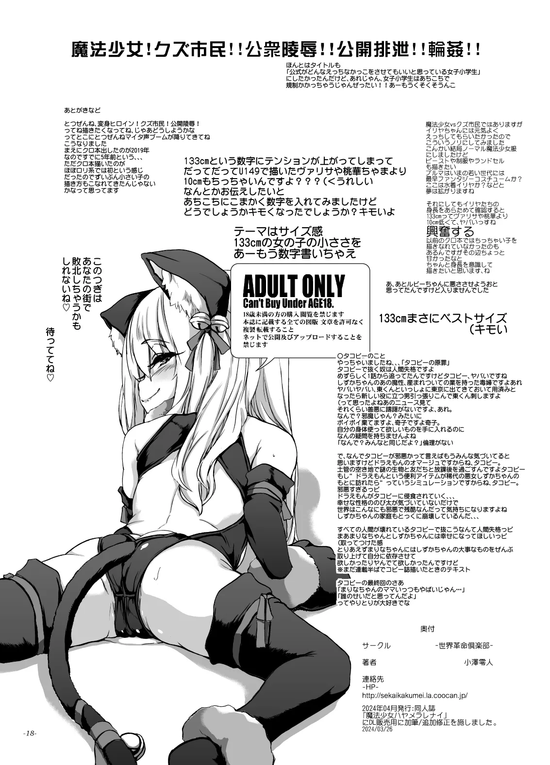 魔法少女ハヤメラレナイ Page.17