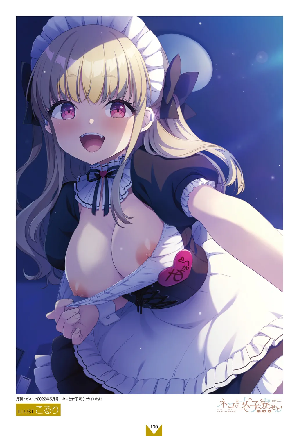 メガストア COVER ILLUSTRATIONS EX Page.102