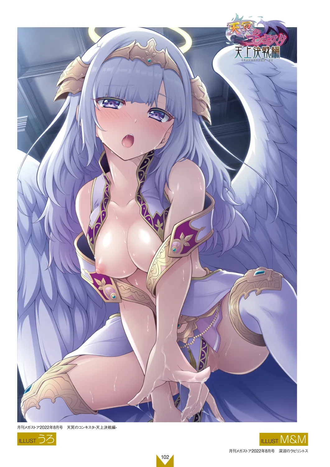 メガストア COVER ILLUSTRATIONS EX Page.104