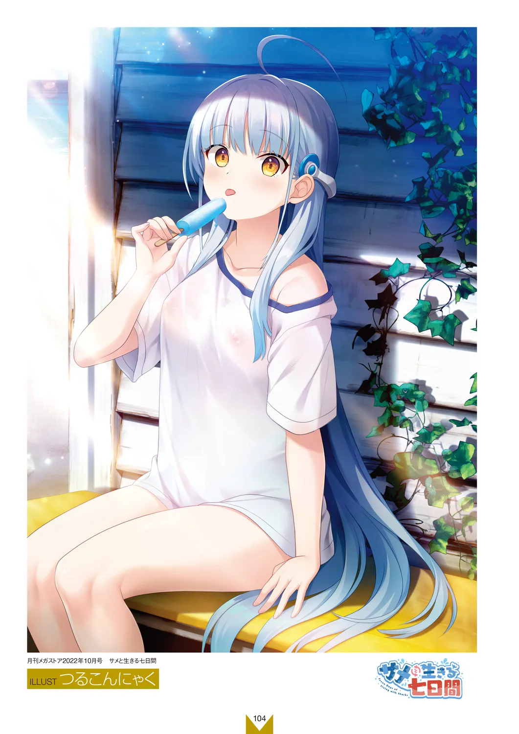 メガストア COVER ILLUSTRATIONS EX Page.106