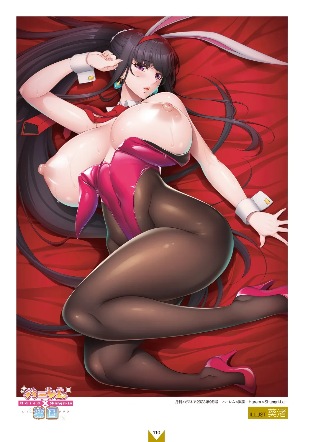 メガストア COVER ILLUSTRATIONS EX Page.112