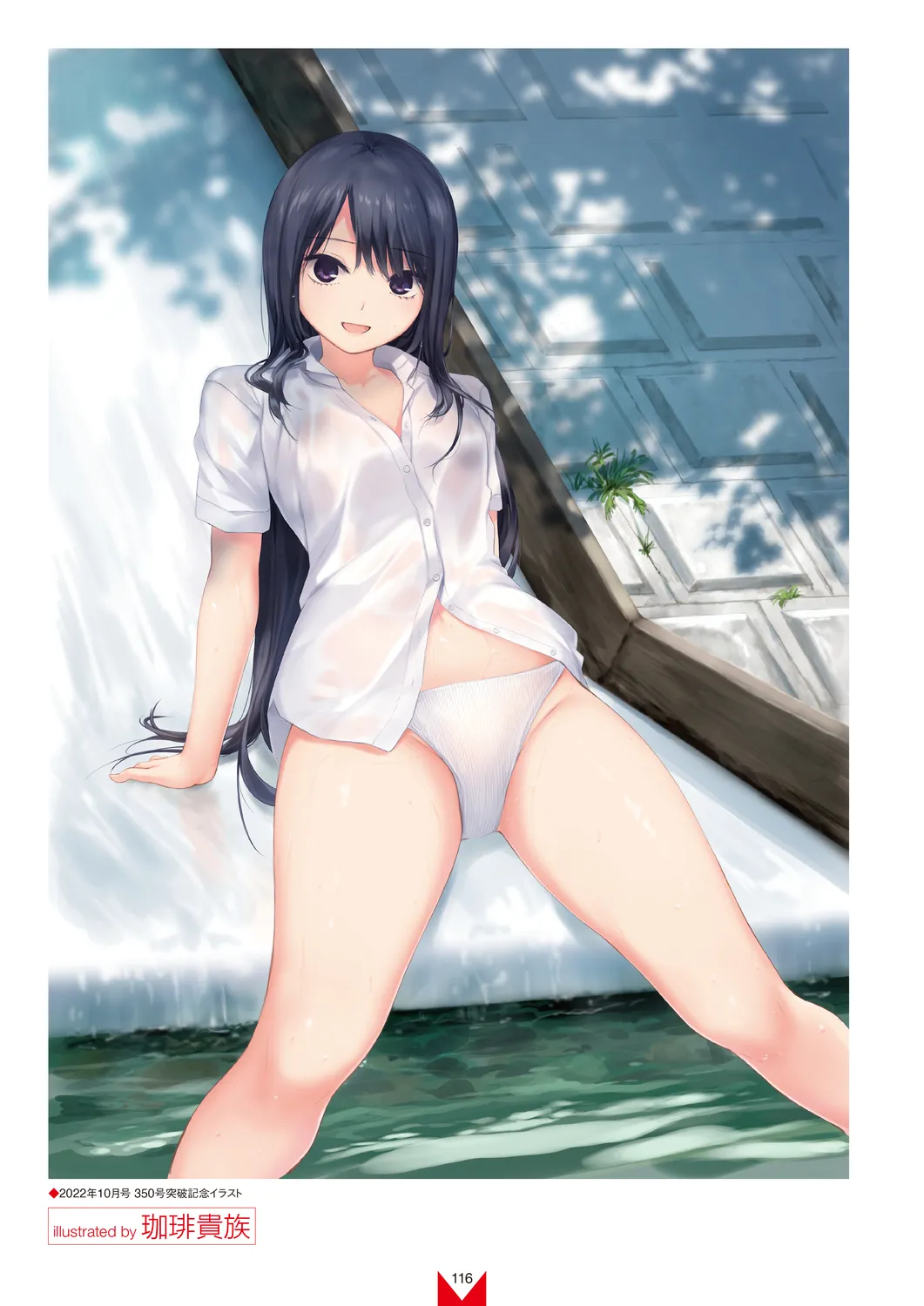 メガストア COVER ILLUSTRATIONS EX Page.118