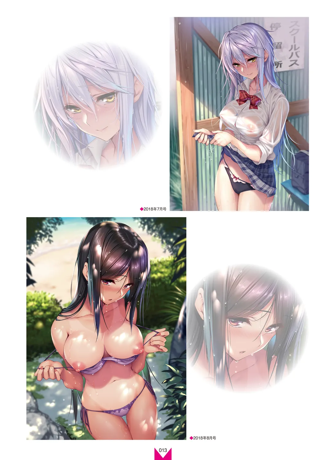 メガストア COVER ILLUSTRATIONS EX Page.15